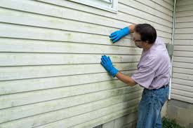 Best Vinyl Siding Installation  in Decordova, TX